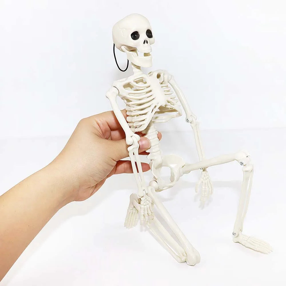 1/2pcs Halloween Skull Bat Skeleton Human Shape Bones Halloween Party Supply Home Garden Decoration Haunted House Horror Props