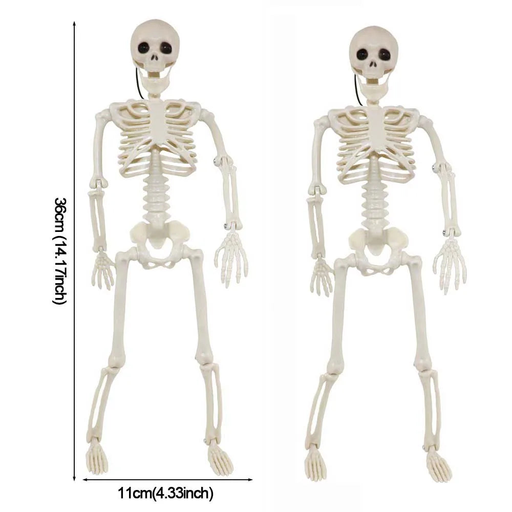 1/2pcs Halloween Skull Bat Skeleton Human Shape Bones Halloween Party Supply Home Garden Decoration Haunted House Horror Props