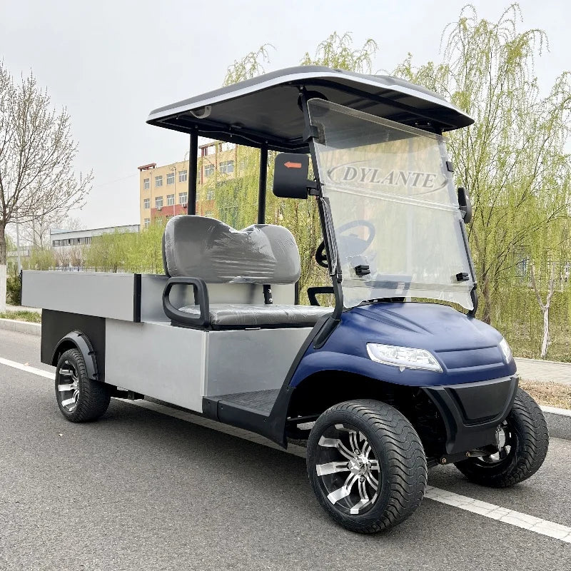 High Quality Street Legal Two Seater 48V 72v Electric Golf Cart Golf Hunting Cart With Cargo Box Golf Utility Cart and Farm Cart