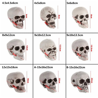 All Size Plastic Human Skull Head Skeleton Halloween Style Photo Prop Cranium Haunted House Statue Party Decor Game Supplies