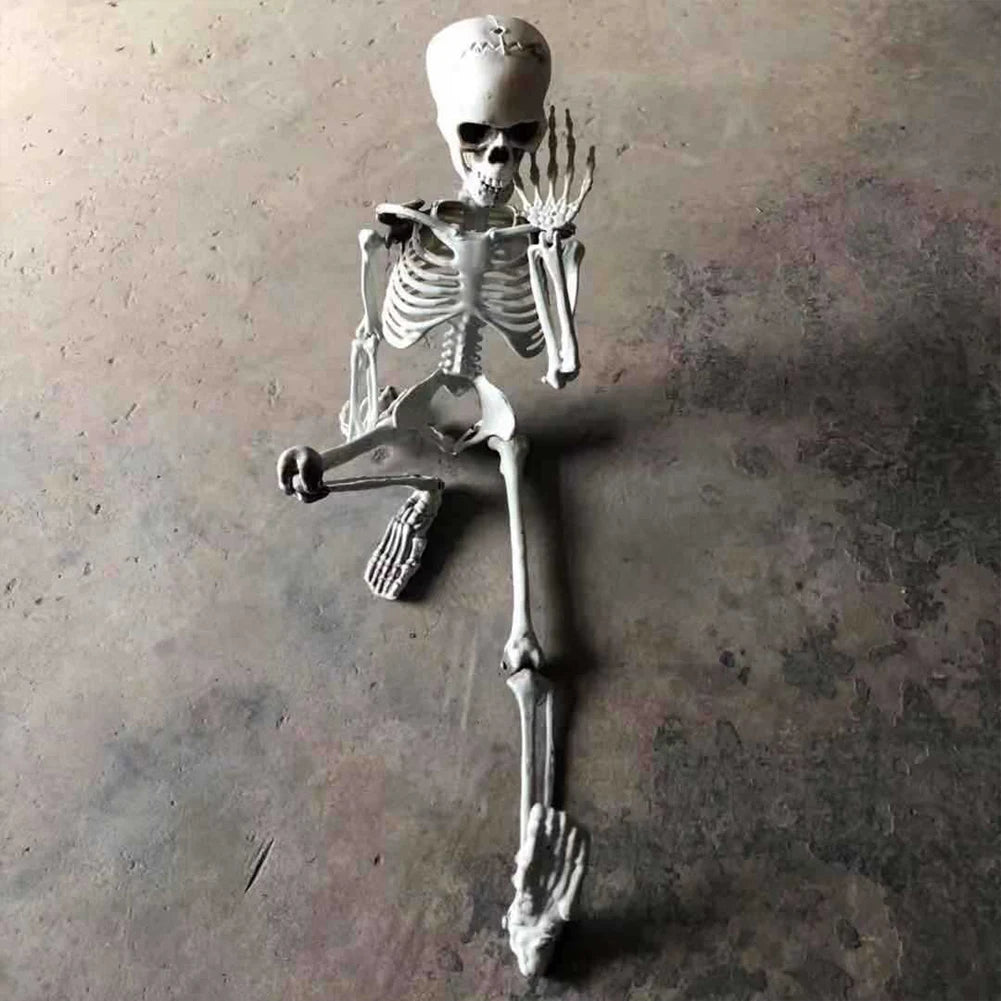 Halloween Realistic Body Bones Movable/Posable Joints Simulation Skull Ornament Festival Theme Full Size Home Party Decorations