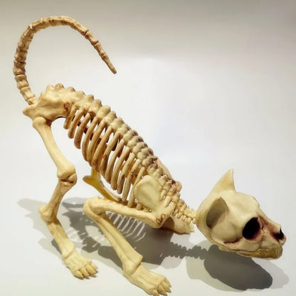 Creative Halloween Scary Skeleton Decoration Crouching Cat Skeleton Cat Skull Model Creepy Animal Bones for VAMPIRE Party Trick