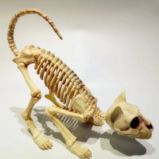 Creative Halloween Scary Skeleton Decoration Crouching Cat Skeleton Cat Skull Model Creepy Animal Bones for VAMPIRE Party Trick