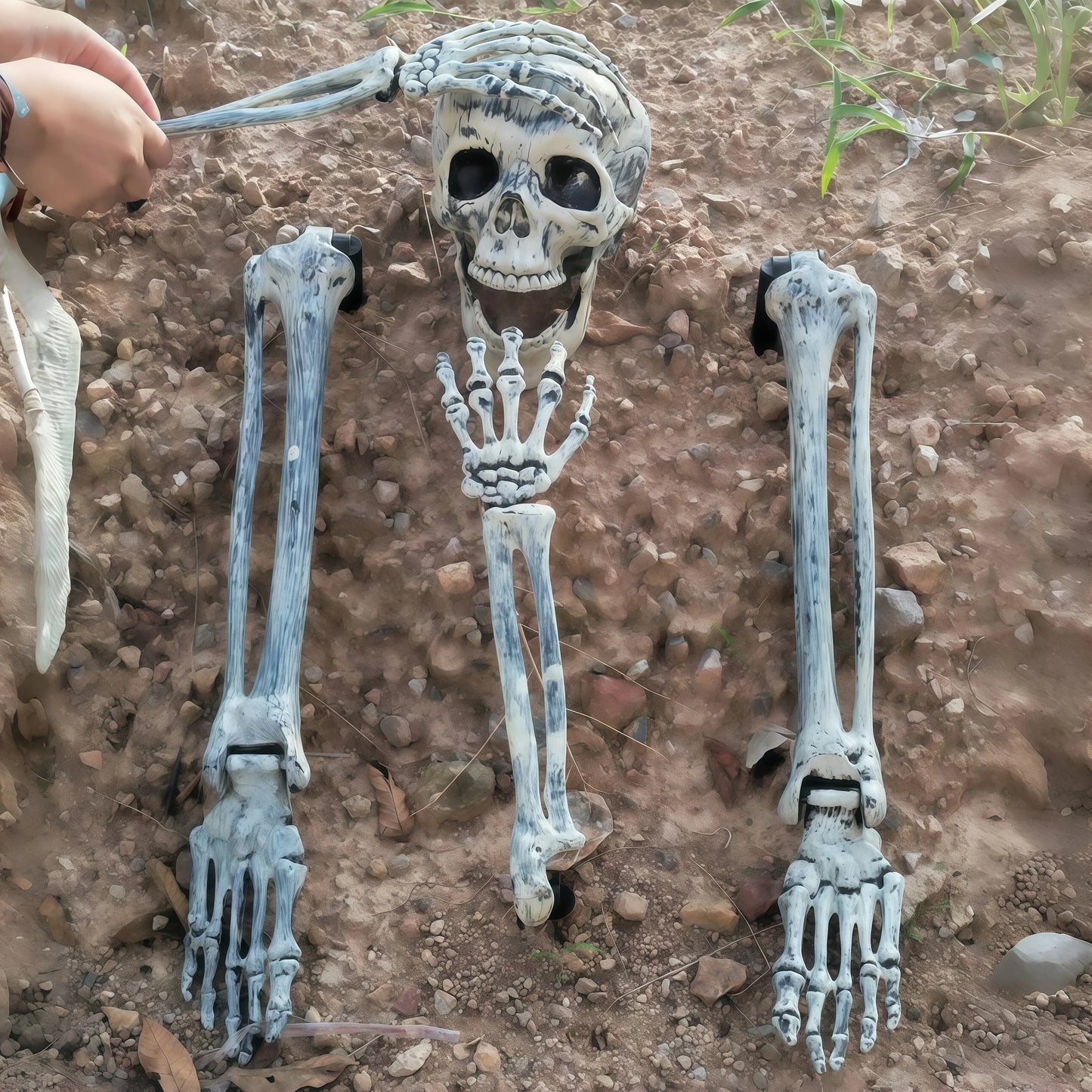 Skeleton Coming Out of the Ground - Life-Sized Unique Groundbreaker Skeleton Stakes for Outdoor Yard Halloween Decorations