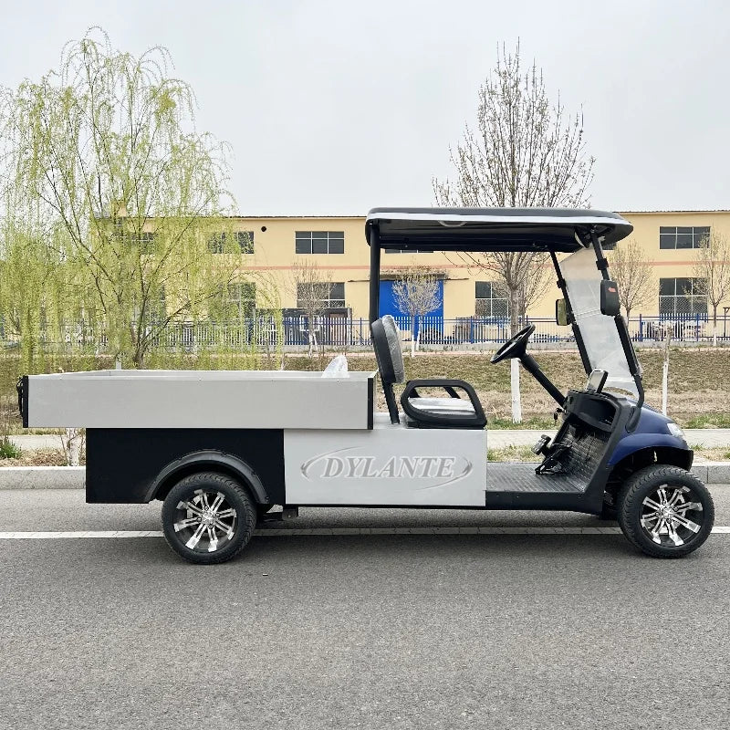 High Quality Street Legal Two Seater 48V 72v Electric Golf Cart Golf Hunting Cart With Cargo Box Golf Utility Cart and Farm Cart