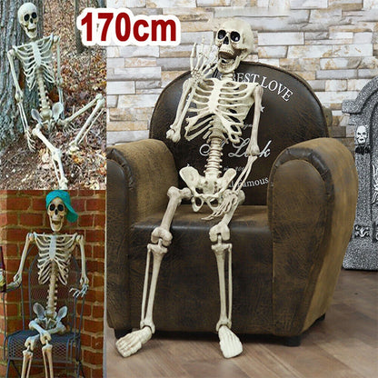 Halloween Realistic Body Bones Movable/Posable Joints Simulation Skull Ornament Festival Theme Full Size Home Party Decorations