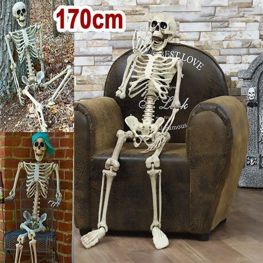 Halloween Realistic Body Bones Movable/Posable Joints Simulation Skull Ornament Festival Theme Full Size Home Party Decorations