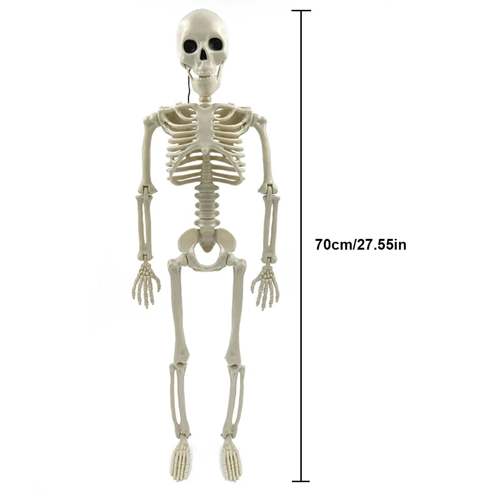 Halloween Realistic Body Bones Movable/Posable Joints Simulation Skull Ornament Festival Theme Full Size Home Party Decorations