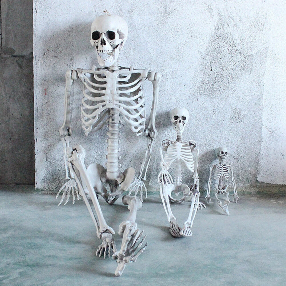 Halloween Realistic Body Bones Movable/Posable Joints Simulation Skull Ornament Festival Theme Full Size Home Party Decorations