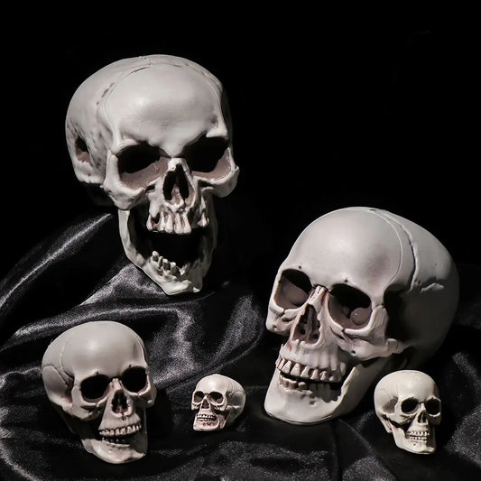 All Size Plastic Human Skull Head Skeleton Halloween Style Photo Prop Cranium Haunted House Statue Party Decor Game Supplies