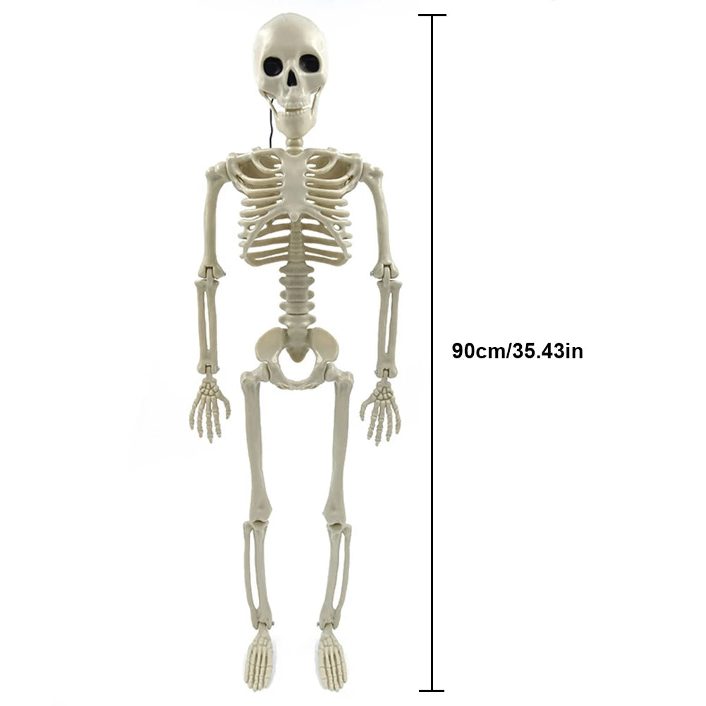 Halloween Realistic Body Bones Movable/Posable Joints Simulation Skull Ornament Festival Theme Full Size Home Party Decorations