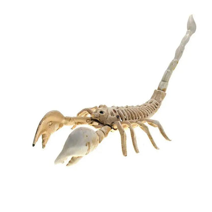 70CM Halloween Human Skeleton Haunted House Hanging Props Home Evil Party Decoration Horror Scary Movable Big Skull Decorations