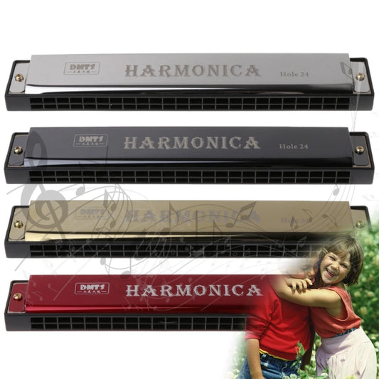 Professional 24 Hole Harmonica Key of C Mouth Metal Organ for Beginners