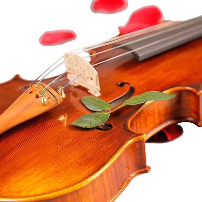 TONGLING Brand Professional Antique Natural Stripes Maple Master Hand-Craft Oil Varnishing Violino With Case Bow  Violin 4/4