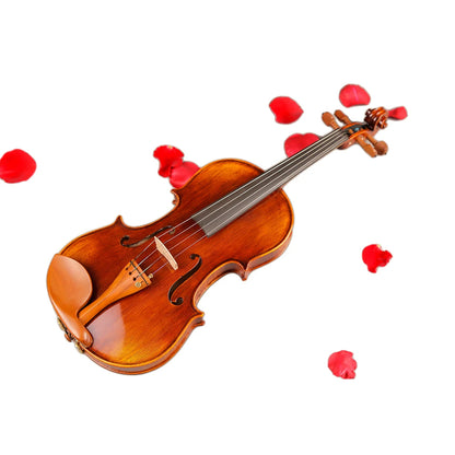TONGLING Brand Professional Antique Natural Stripes Maple Master Hand-Craft Oil Varnishing Violino With Case Bow  Violin 4/4