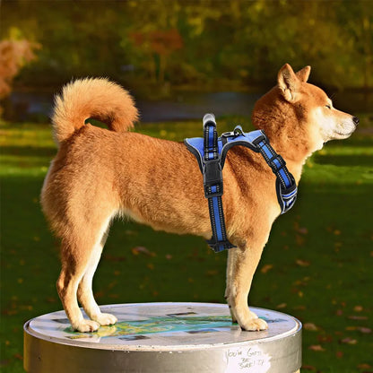 Dog Harness No Pull Breathable Reflective Dog Harness Vest With Handle for Small Large Dogs Outdoor Walking Training Supplies