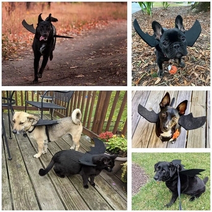Halloween Cat Clothes Bat Wings Funny Dog Cosplay Costume With Pumpkin Bells 2023 New Dog Clothes Pet Supplies