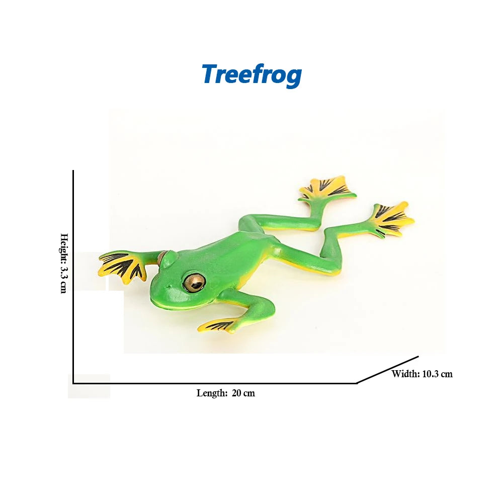 Figure Toy Frog Models Rainforest Animal Figurines TreeFrog Rana Deltoides Action Figures Bullfrog Animals Toys Games Kids Gifts