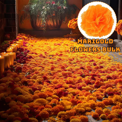 Yannew 50pcs Artificial Marigold Flower Head Yellow Bulk Day of the Dead Decoration for DIY Wreath Halloween Diwali Indian Decor