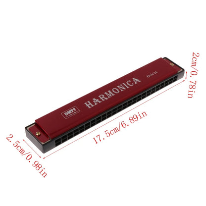 Professional 24 Hole Harmonica Key of C Mouth Metal Organ for Beginners