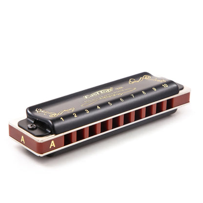 East Top Diatonic Harmonica 10 Holes Blues Harmonica Black T008K With Case Professional Harmonica for Beginner Students Adults