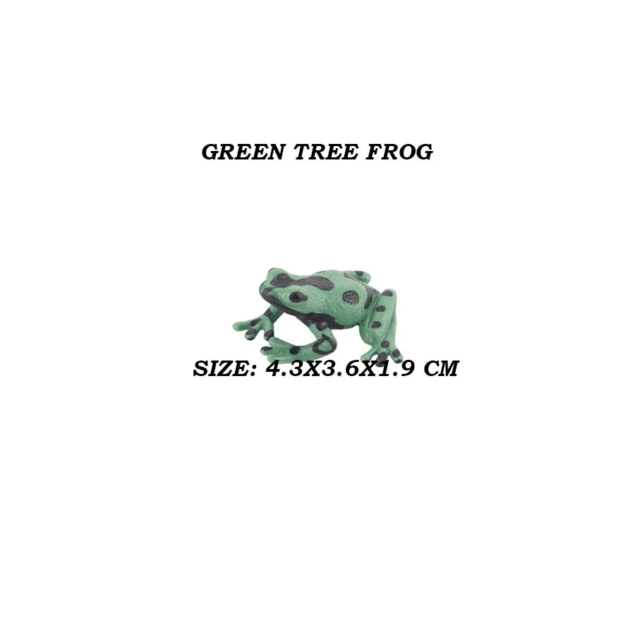 Figure Toy Frog Models Rainforest Animal Figurines TreeFrog Rana Deltoides Action Figures Bullfrog Animals Toys Games Kids Gifts