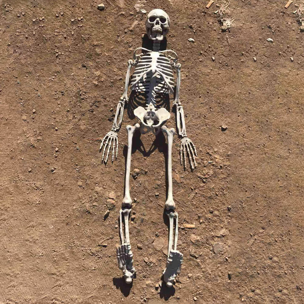90cm Simulation Human Skeleton Ornament Halloween Party Bar Haunted House Props