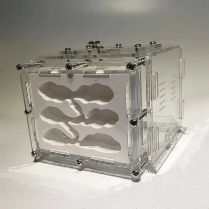 New DIY Gypsum Ant Farm Plaster Ant Nest With Feeding Area Moisturize Ecological Ant House Workshop for Pet Anthill