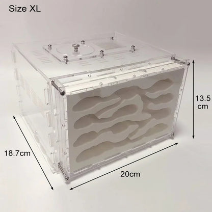 New DIY Gypsum Ant Farm Plaster Ant Nest With Feeding Area Moisturize Ecological Ant House Workshop for Pet Anthill