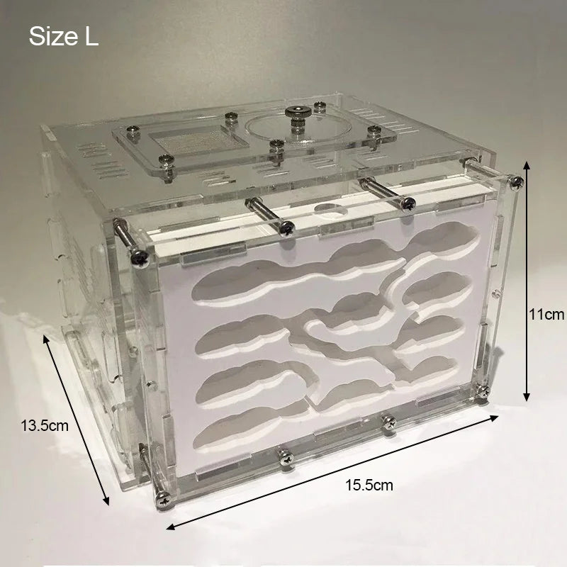 New DIY Gypsum Ant Farm Plaster Ant Nest With Feeding Area Moisturize Ecological Ant House Workshop for Pet Anthill