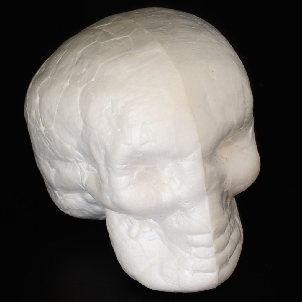 10set Halloween Skull Head Styrofoam Ornaments Skeleton Halloween Decor Scary Man Bone Party Decor DIY Kid Craft