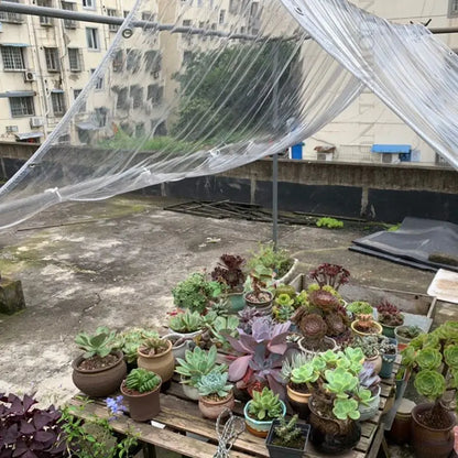 99.99% Transparent PVC Tarp Balcony Rainproof Cloth палатка Toldos Camping Tent Shading Net Tarpaulin Succulent Plants Cover