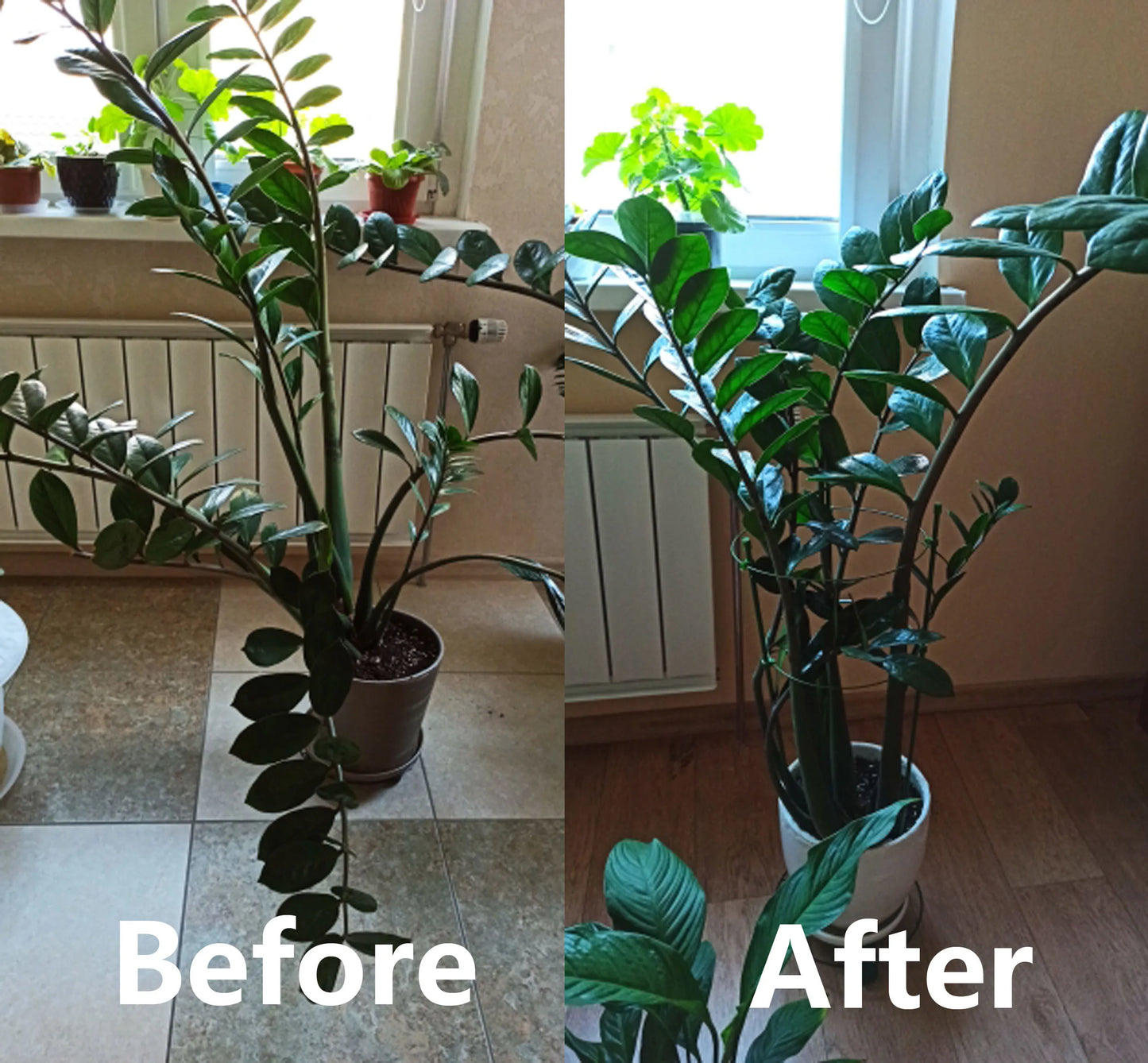 45cm/60cm Climbing Vine Rack Plant Potted Support Frame Plastic Coated Steel Flower Vegetables Decorative Trellis Bracket 1Pc