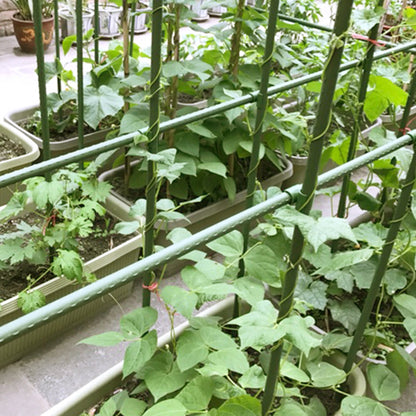 Plant Support Greenhouse Gardening Pillar Plastic Coated Steel Pipe Climbing Vine Bracket Agriculture Tools Flower Support 6 Pcs