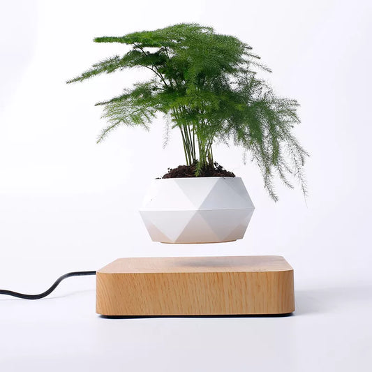 Levitating Air Bonsai Pot Rotation Planters Magnetic Levitation Suspension Flower Floating Pot Potted Plant Desk Decor