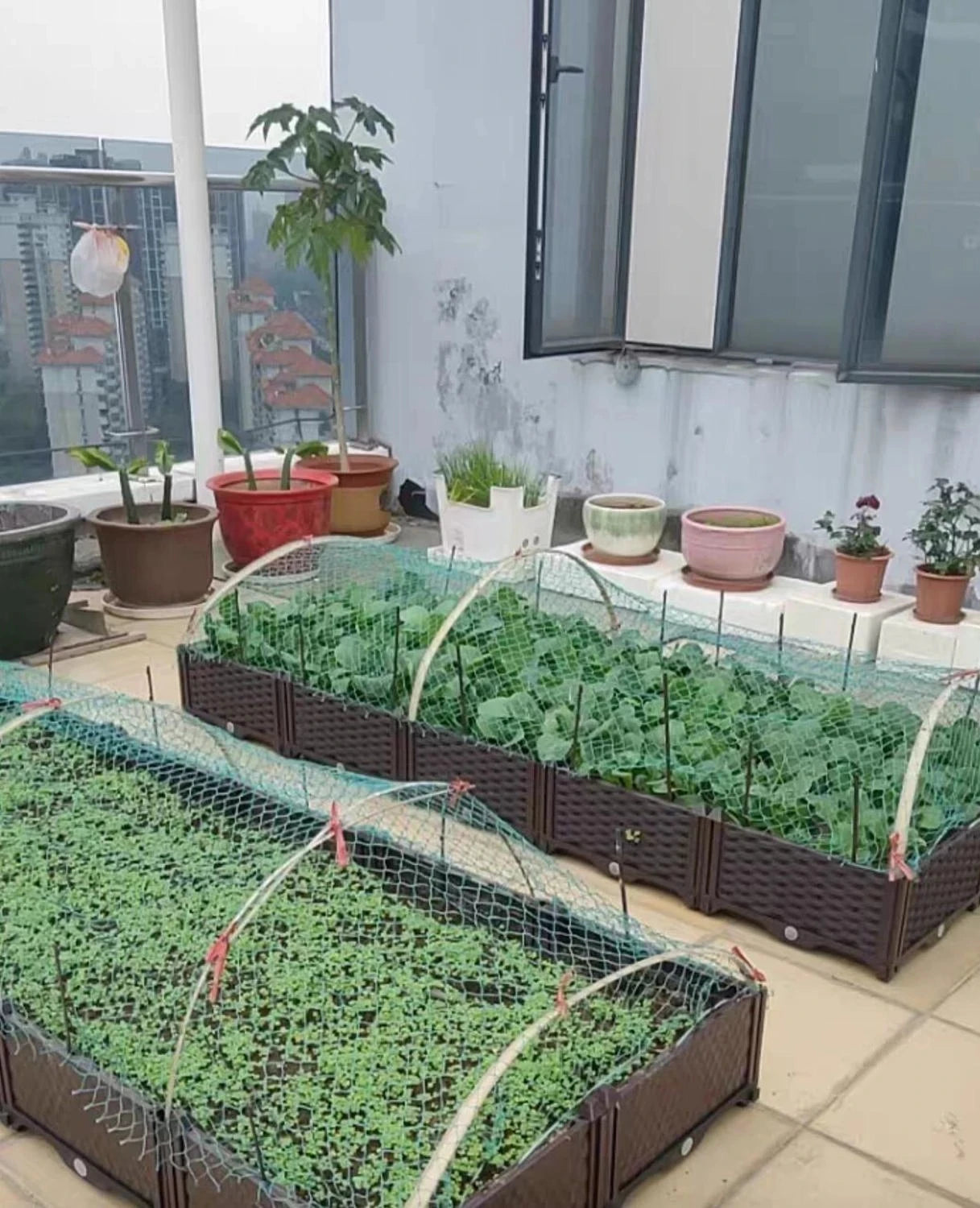 Strawberry Bird Net Plastic Mesh Vine Plants Garden Fence Mesh Home Decoration Garden Ornaments Green and Blue Gardening Net