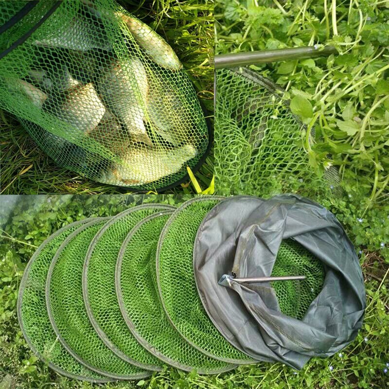 JIGEECARP 1pc Mini Panfish Fishing Keep Net Collapsible Fish Shrimp Dip Net Cage Fish Keeper Mesh Creel  Fishing Tools