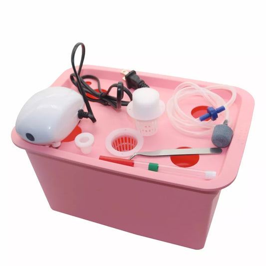 220v/110v Plants Site Hydroponic Systems 6 Holes Nursery Pots Soilless Vegetables Cultivation Seedling Growing Box With Air Pump