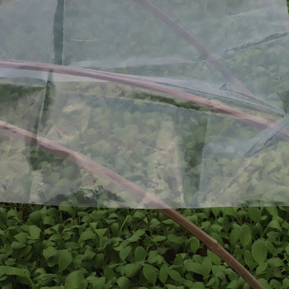 0.1mm 0.16mm Agriculture Greenhouse Transparent PE Film Garden Furniture Rainproof Dustproof Succulent Plants Waterproof Cover