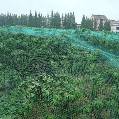 Plants Nylon Protection Net Anti Bird Netting Crop Fruit Vegetable Protective Net Climbing Net Garden Orchard Fence Width 2M 4M