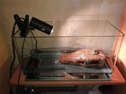 25W UVA&uvb Lamp UV Lamp for Turtles Fill Light Calcium Supply Uvb-Lamp Uvb 3.0 Lamps for Reptiles ONE SET