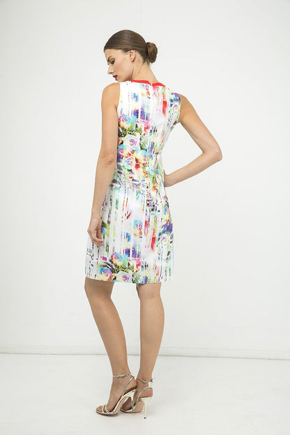 Pleat Detail Sleeveless Print Dress