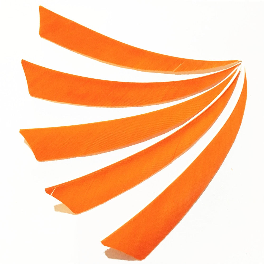 50 Pcs 5 Inch 9 Colors  Shield Turkey Feathers Arrow Feather Fletching for Any Wooden & Bamboo Arrow for Archery Hunting