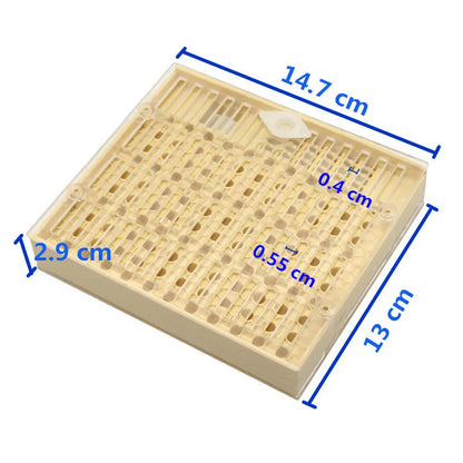 1 Pcs Beekeeping Equipment Tools Rearing Queen Bee System Plastic Box for Professional Beekeeper