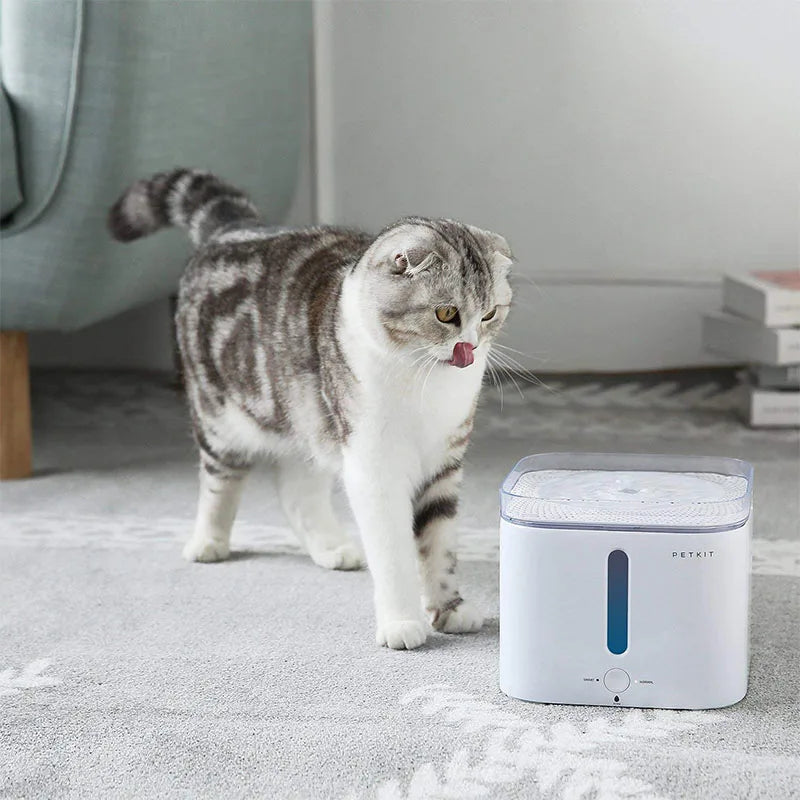 PETKIT Electric Pet Cat Dog Drinking Water Dispenser Water Fountain Automatic Feeder Dogs Square Drinker Comederos Para Mascotas