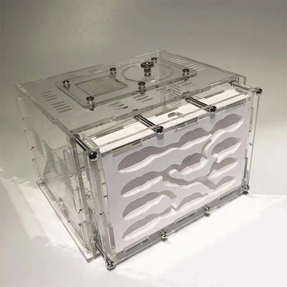 New DIY Gypsum Ant Farm Plaster Ant Nest With Feeding Area Moisturize Ecological Ant House Workshop for Pet Anthill