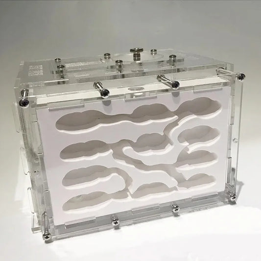 New DIY Gypsum Ant Farm Plaster Ant Nest With Feeding Area Moisturize Ecological Ant House Workshop for Pet Anthill