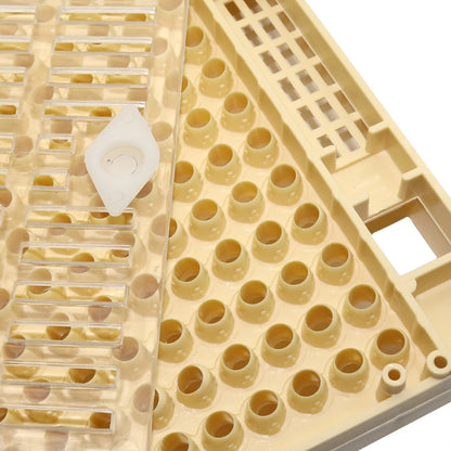 1 Pcs Beekeeping Equipment Tools Rearing Queen Bee System Plastic Box for Professional Beekeeper