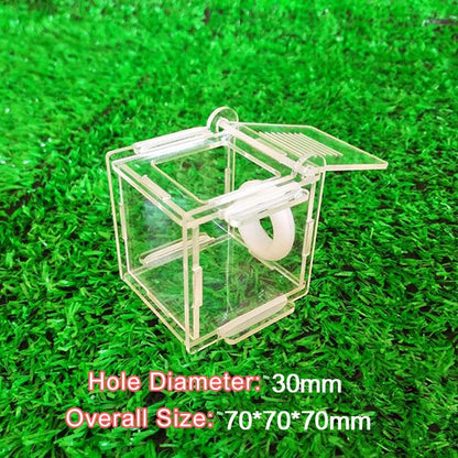 DIY Ecological Ant Farm Bamboo Test Tube Ant Nest Various Sizes Tubes Ant House for Pet Anthill Workshop Queen Ant Home