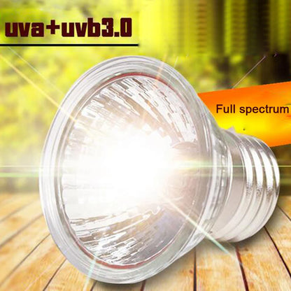 UVA+UVB 3.0 Reptile Lamp Kit With Clip-On Ceramic Light Holder Turtle Basking UV Heating Lamp Set Tortoises Lizard Lighting 220V